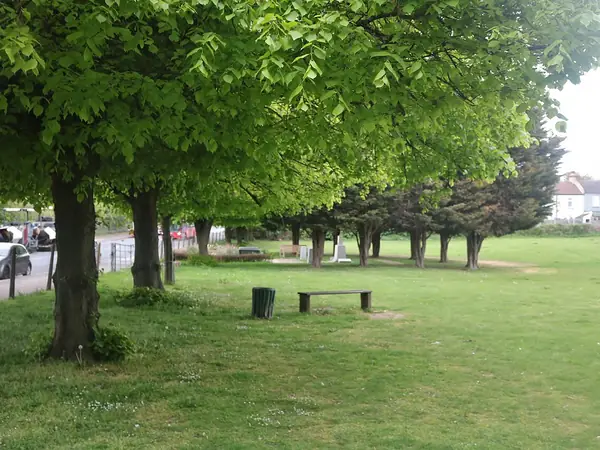 Tree-lined edge of the playing field at Stone Recreation Ground off London Road