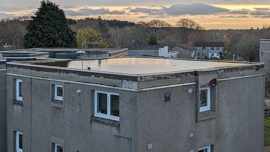 Flat roof on a rendered block of flats with rainwater ponding across the surface after a shower