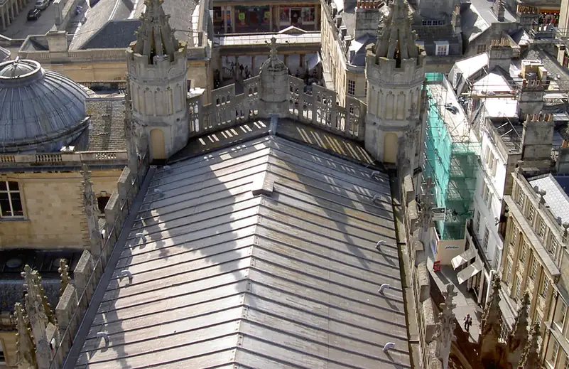 Rows of lead roll joints on a large lead sheet roof, seen from above among stone town buildings