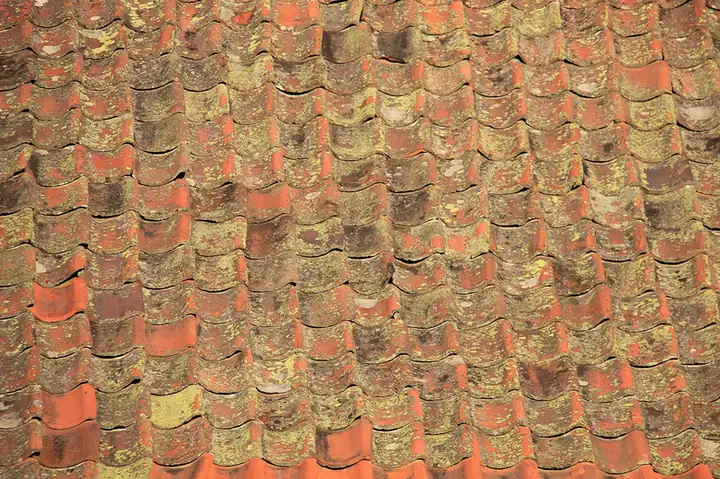 Close-up of weathered clay roof tiles patched with lichen, a few newer replacement tiles standing out in brighter red